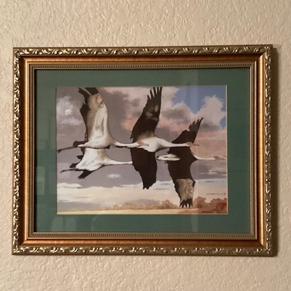 Other - Waterfowl in Flight Framed Art Print‎ 2008 Signed G. Kallio 12x15